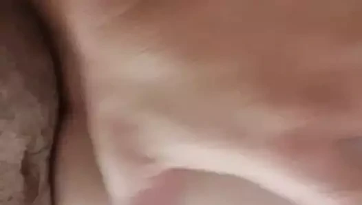 bulgaristan bulgaristan