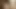 ham condomless gay barebacking eylem