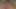 Sulu Amerikalı hatun Kirsten Price Avrupalı friendsandra shine'ı sapphic tatilini birlikte geçirmesi için davet etti