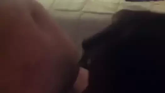 fatso repost - emme 0066