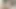 Helloladyboy Düzgün Vücutlu Taylandlı Bebek Büyük Yabancı Yarrağı Boğazına Kadar Alıyor