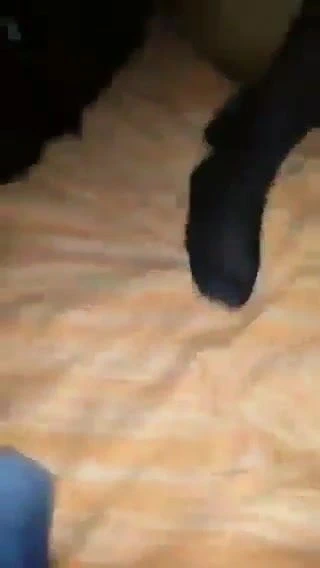 liseli kizi eve atmis catir catir sikiyorlar