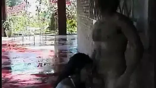 horoz emme biseksüeller çılgınlık