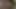 Junges Teen Girl laesst sich lecken und tabulos ficken
