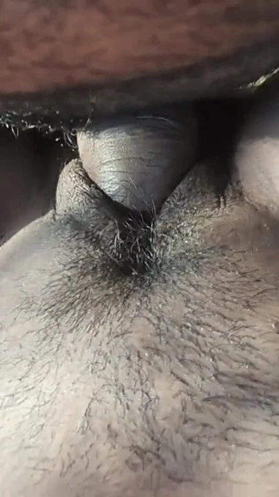 Обязательный для обмена момент из "Раком в джунглях"