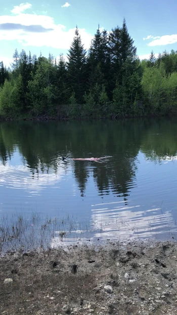 Извращенец, ты посмотрел на меня