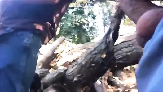 Seyir... geçen yaz ne yaptığını biliyorum