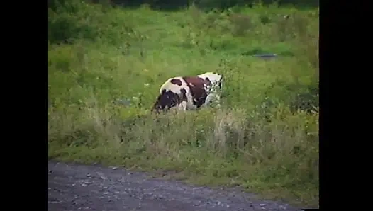 Büyüleyici kırmızı ateşli vixen büyük yarak istiyor - bölüm 1