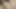 Ateşli evli kadının arkadaşları seksi ve güzel