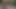 Whynotbi - havuz köpekbalıkları