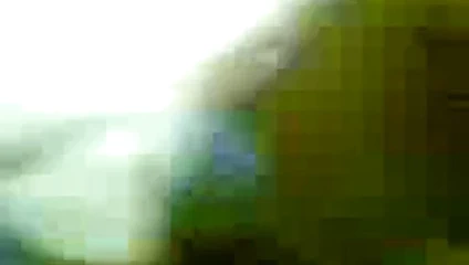 sureshia kaand