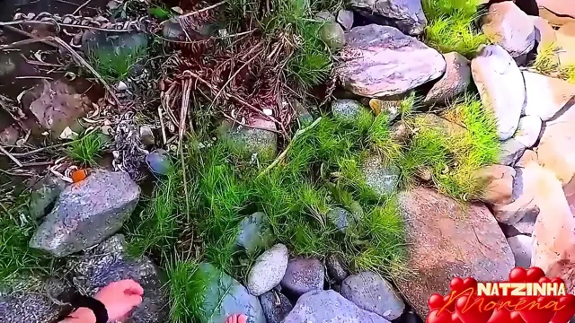 Fantasy On The Beach - Sarışın ve Esmer (bakış açısı)