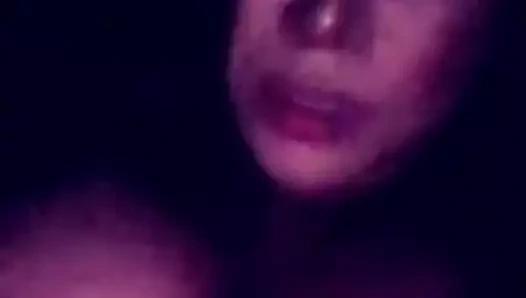 Arabada büyük baştankara paki