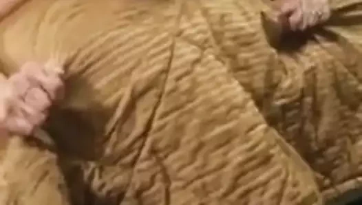 Lindsey köpek stili