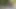 Bjraw alexa zincirleri yüze büyük bir boşalma ile kaplı