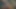 Meraklı büyük yarak emiyor - ai