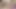 Lesben mit Vibrator und Sexspielzeuge haben geiln abend