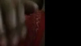 Sıkı kedi garam chout