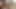 Ersties - Squirting Queen Julia B bringt sich selbst zum Spritzen