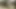 vahşi doğada Kamu açık lanet, neredeyse yakalandı – promo