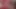 Doc Tease