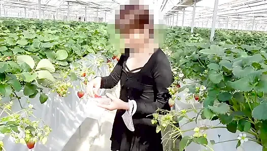 Mayu No.45 Çilek Avı Maruziyeti, Hemen Ağızdan, Yutma Uzmanlaşmış