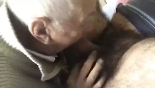 Dva starija Hrvata (Gay)