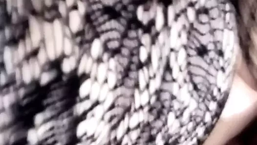 Siyah aygır yalama kedi