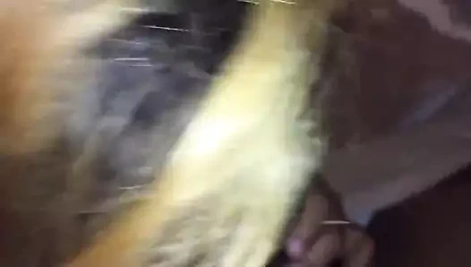 Canadian Hint emme siyah çük içinde bir otel