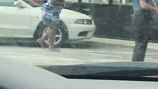 kalın olgun ganimet