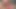 Ssbbw berbat sert itibaren arka