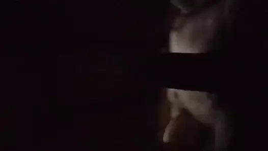 Kedi osuruk ve oyuncak.