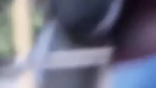 Bunda da coroa