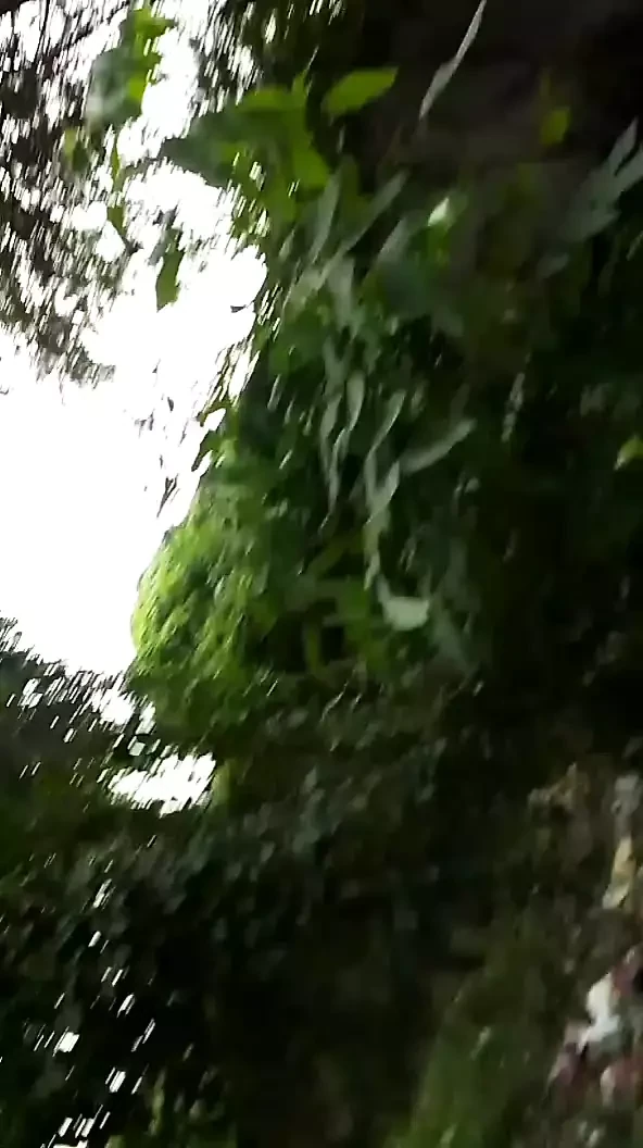 Hintli oğlan mutna