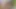 Travesti karşılaşması bir jizz atışıyla sona erer