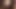 Terri yazları 05