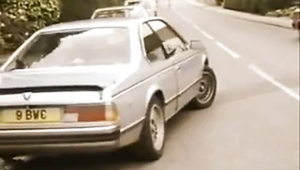 Retro ırklararası 031