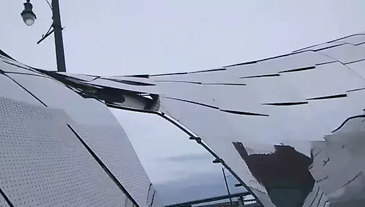 Bu şekilde doğmuş g