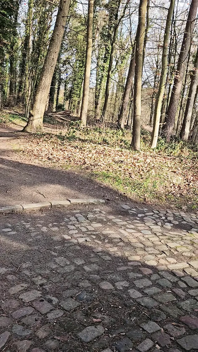 public park, dick jerked off