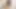 SOLO GIRL AXKILXNOW MASTURBATING TEASING YOU