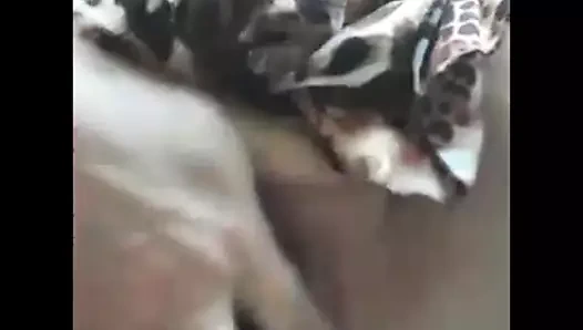 Olgun büyük doğal yakın çekim kedi parmak orgazm