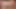 These men with large penises have had sex with us 800 times