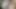 Bella Edepsiz 69 Pozisyonunda Üvey Babasını Emiyor Ve Biniyor