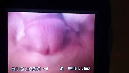 o seviyor