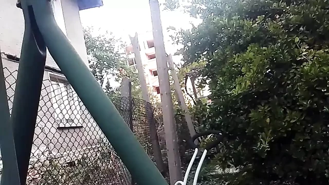 Azgın sürtük bahçede göğüslerini riskli bir şekilde gösteriyor