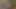 Minyon genç tatlı kız erkek arkadaşı sikmeden önce göt deliğini oynuyor