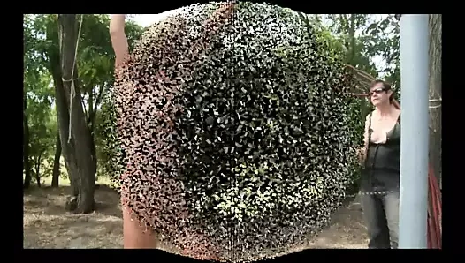 Usta hector bir köpek kulübesinde alt bianca işkence