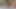 KEDİ olduğunu her zaman aç için ham horoz