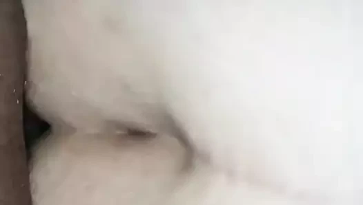 ırklararası fransız