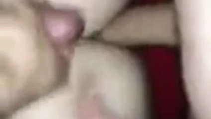 amatör eyersiz üreme